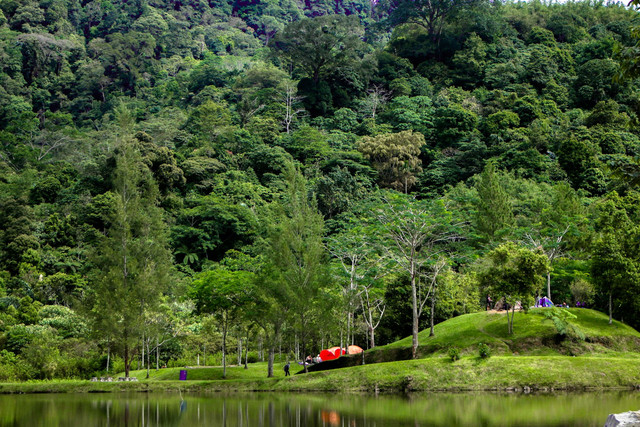 Tempat wisata di Langkat yang lagi hits. Foto salah satu destinasi wisata di Langkat. Sumber: Unsplash/Muhammad Dani