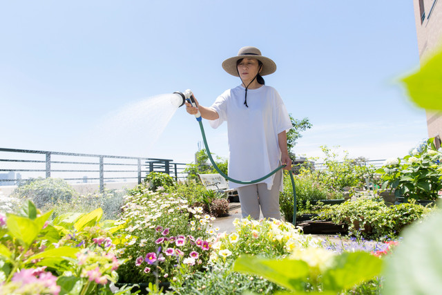Ilustrasi pertanian berkelanjutan. Foto: Shutterstock