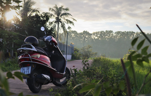 Ilustrasi warna skotlet motor BeAT yang bagus. Sumber foto: Pixabay/ Irish83
