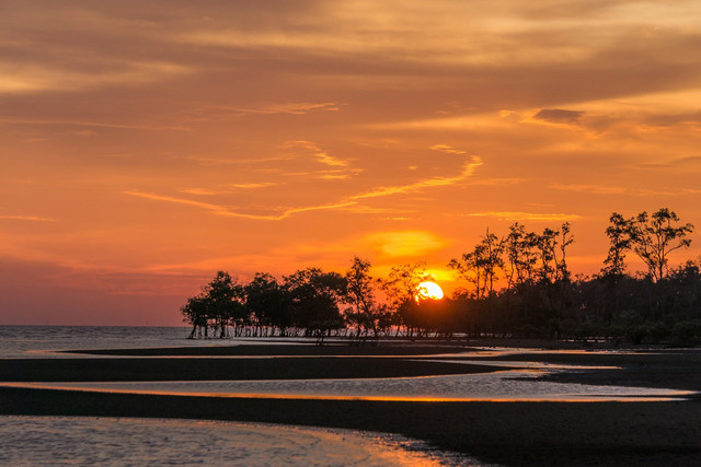 Pantai di Bandar Lampung yang ada penginapannya. Foto hanya ilustrasi, bukan tempat sebenarnya. Sumber: Unsplash/Esmonde Yong