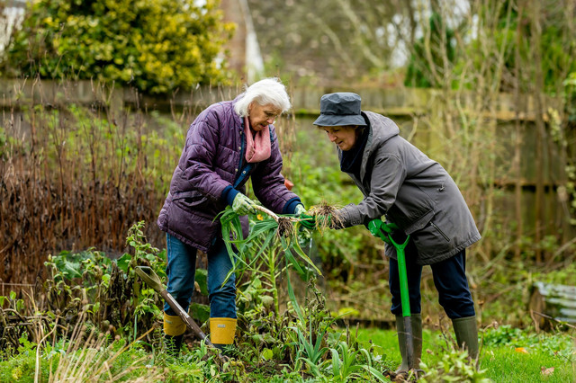 Usaha setelah Pensiun di Desa. Foto hanya ilustrasi, bukan tempat sebenarnya. Foto: dok. Unsplash/Centre for Ageing Better