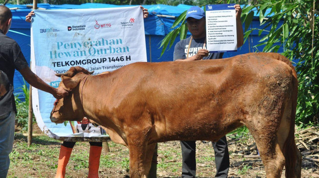 Hewan Qurban MTTG Telkom yang disalurkan ke Warga Terdampak Bencana Pergerakan Tanah di Desa Neglasari, Sukabumi (Sumber : DT Peduli)
