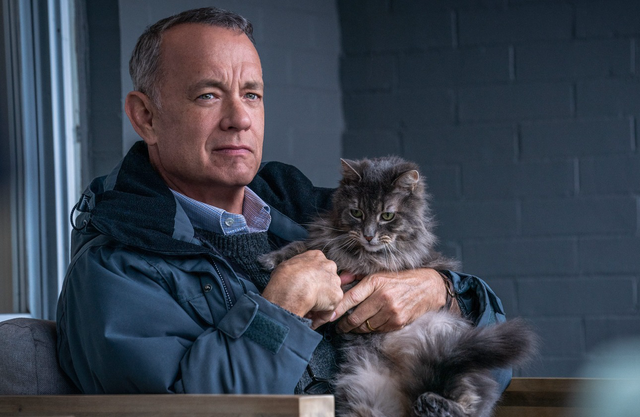 15 Film Terbaik Tom Hanks dari Berbagai Genre yang Wajib Ditonton
