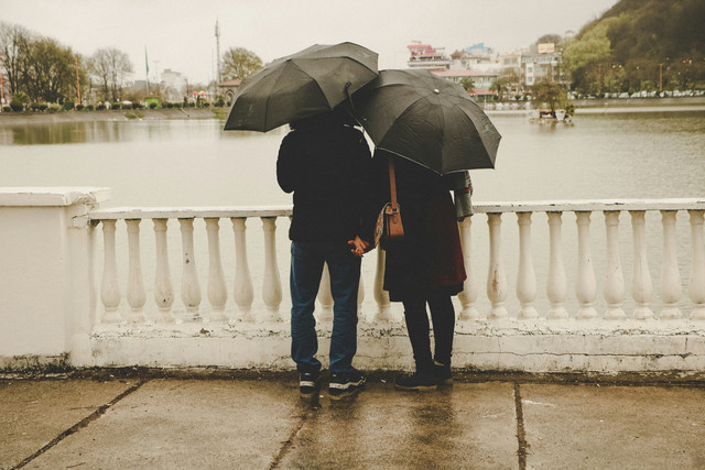 Ilustrasi Sinopsis Marry My Husband. Sumber: Unsplash/Romina Ahmadpour