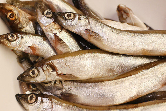Ilustrasi cara menyimpan ikan asin tanpa kulkas, Foto: Pixabay/Irenna_____
