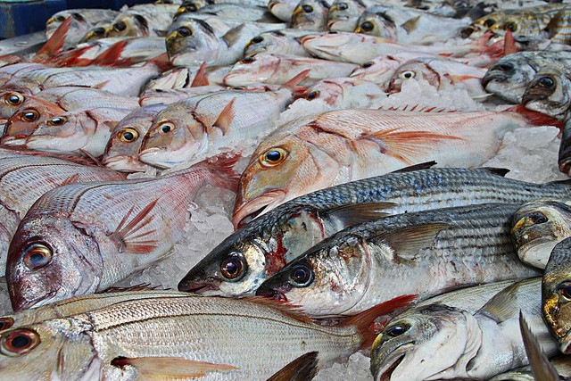 Ilustrasi cara menggoreng ikan asin peda biar gak hancur, Foto: Pixabay/photo-graphe