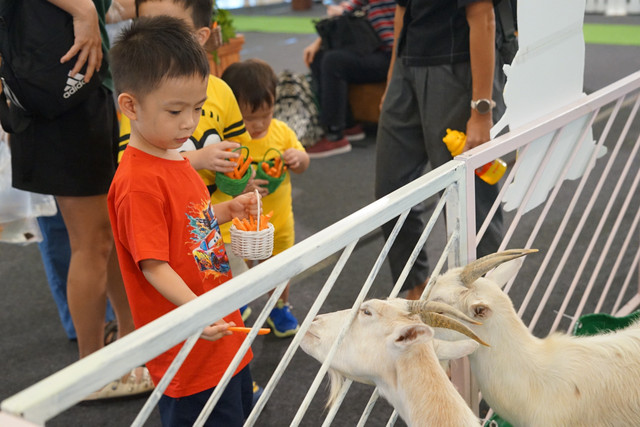 Menghabiskan libur sekolah dengan bermain bersama satwa lucu di Pluit Village. Foto: Dok. Istimewa