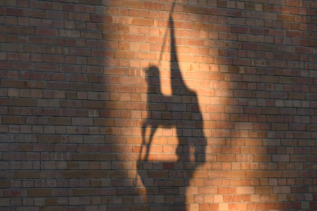 Cara Memainkan Shadow Puppet. Sumber Foto: Unsplash.com/Gábor Szűts