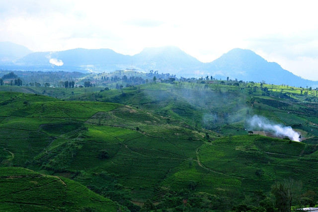 Tempat yang Lagi Hits di Bandung. Foto hanya ilustrasi, bukan tempat sebenarnya. Sumber: Pixabay/ignartonosbg