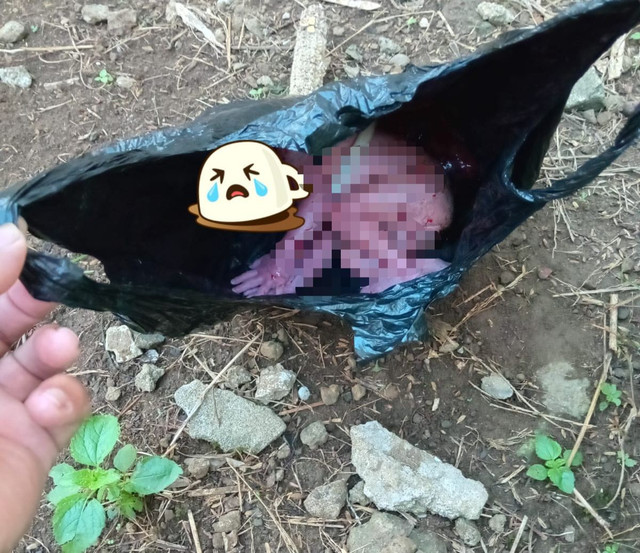 Bayi perempuan yang ditemukan dalam kantong plastik di Bengkayang. Foto: Dok. Polres Bengkayang