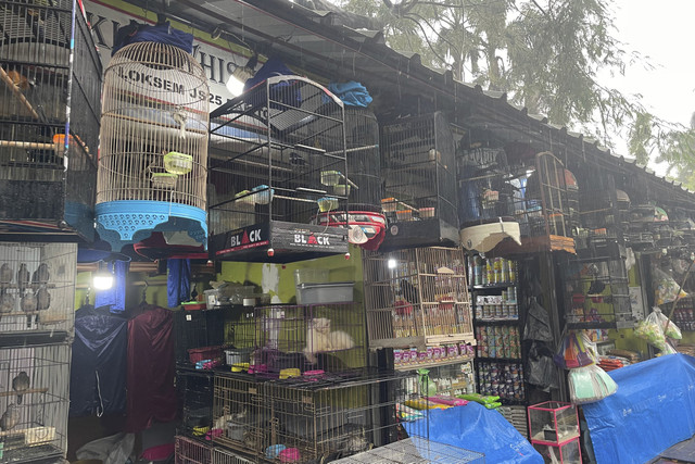 Suasana pasar burung di Jalan Barito, Kebayoran Baru, Jakarta Selatan, Minggu (6/7/2025).  Foto: Fadhil Pramudya/kumparan