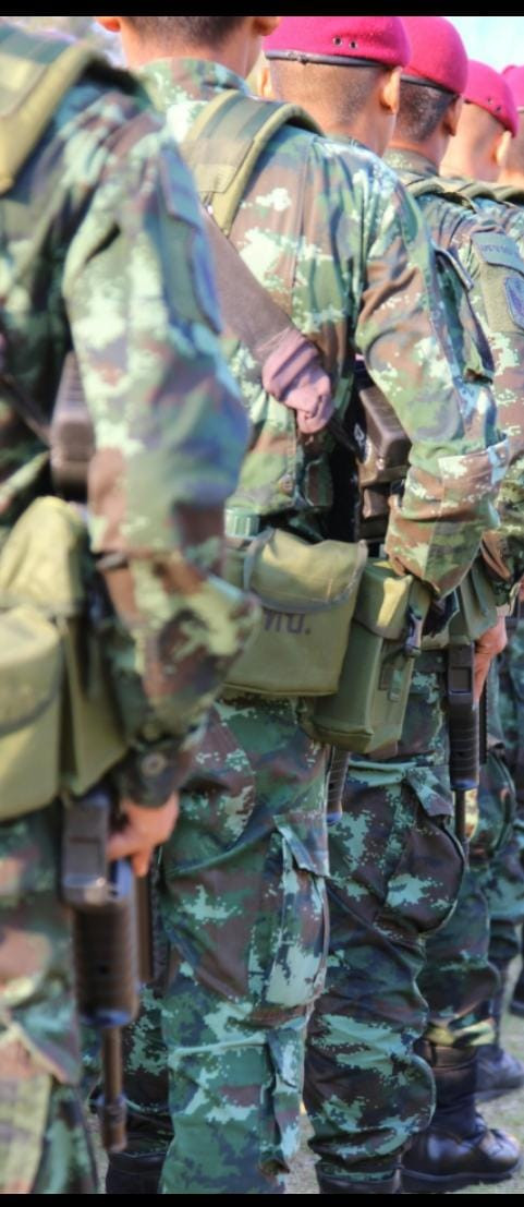 Sumber : https://www.pexels.com/id-id/foto/orang-mengenakan-jas-militer-kamuflase-hijau-dan-coklat-saat-berdiri-memegang-senapan-104764/.