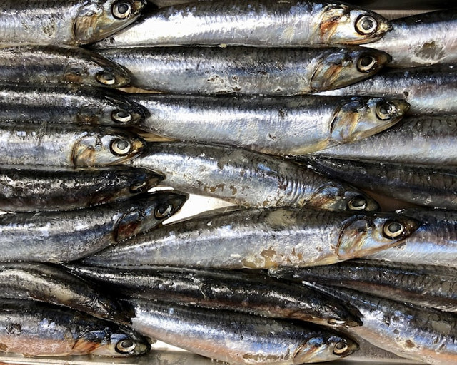 Ilustrasi Cara Menjemur Ikan Teri, Foto:Unsplash/Diane Helentjaris
