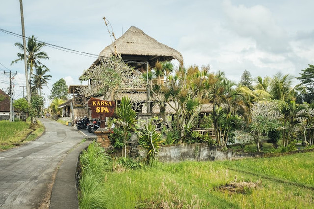 Hotel Murah di Ubud View Bagus. Foto hanyalah ilustrasi bukan tempat sebenarnya. Sumber: Unsplash/Bernard Hermant