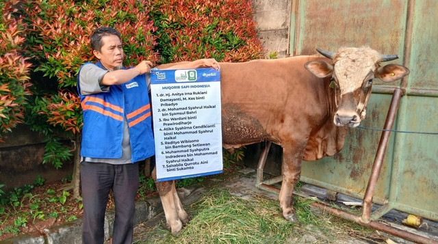 1 Ekor Sapi untuk Qurban dari RS Sari Asih Ciputat (Sumber : DT Peduli)