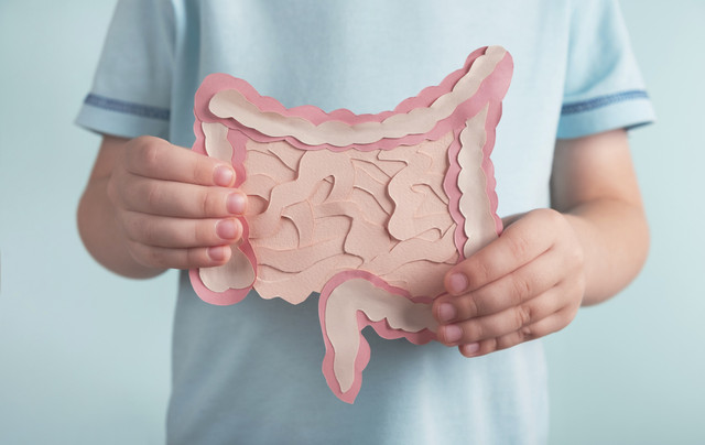 Ilustrasi mikrobiota di pencernaan anak. Foto: Shutterstock