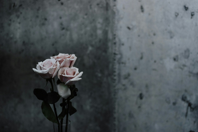 Ilustrasi ucapan ultah untuk ibu yang sudah meninggal. Foto: Unsplash
