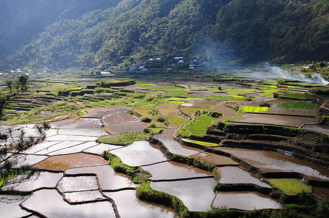 Desa Wisata Pentingsari. Foto hanya ilustrasi, bukan tempat sebenarnya. Sumber:  Sumber: Pixabay.