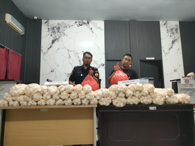 5.400 telur penyu yang berhasil diamankan. Foto: Istimewa.