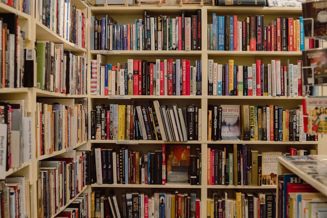 Ilustrasi Urutan Novel Raditya Dika,Foto:Unplash/Jason Leung