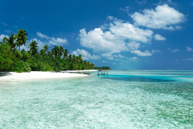Pantai Terindah di Bengkulu. Foto hanya ilustrasi, bukan tempat sebenarnya. Sumber: unsplash.com/Colin Watts.