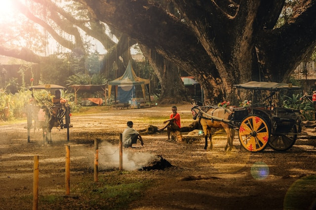Wisata Alam Banyuwangi yang Lagi Hits. Foto De Djawatan Banyuwangi. Sumber: unsplash.com/Satryatama