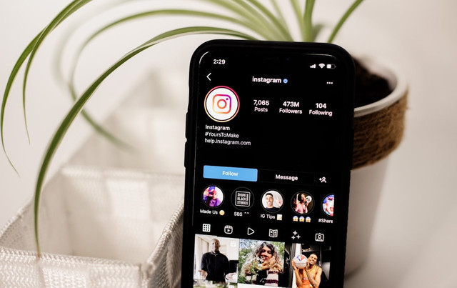 Ilustrasi Profil Ruce Nuenda   Sumber Unsplash/Collabstr