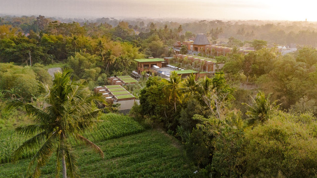 Garrya Bianti Yogyakarta yang berada di Gabugan, Pandowoharjo, Kec. Sleman, Yogyakarta, Daerah Istimewa Yogyakarta 55512. Foto: Dok. Garrya Bianti Yogyakarta