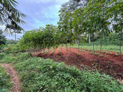 Kejaksaan Agung melelang lahan seluas 171 ribu meter persegi milik Benny Tjokrosaputro di kawasan Bogor. Foto: Dok Kejagung RI