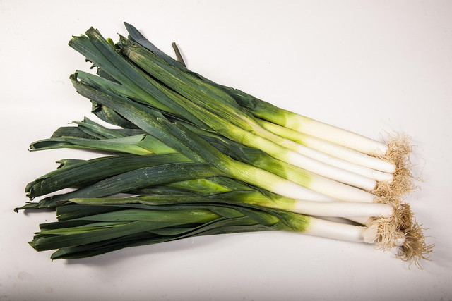 Ilustrasi cara menanam daun bawang di polybag, Sumber: Pixabay/Pumuki111