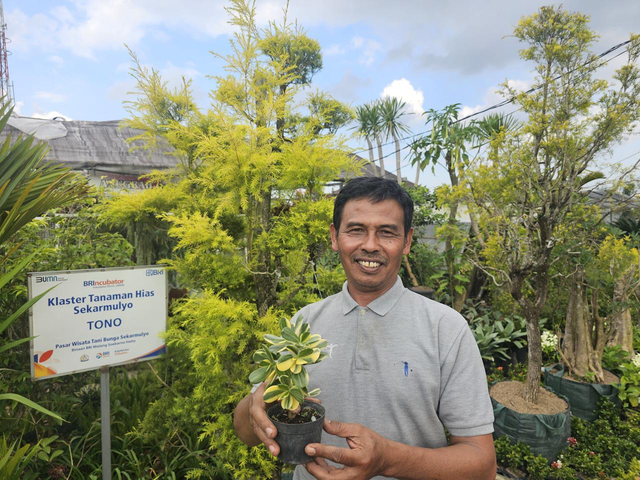 Pemilik klaster tanaman hias Sekar Mulyo, Tono yang berhasil berkembang berkat pembinaan program BRI Klasterku Hidupku. Foto: Dok. BRI
