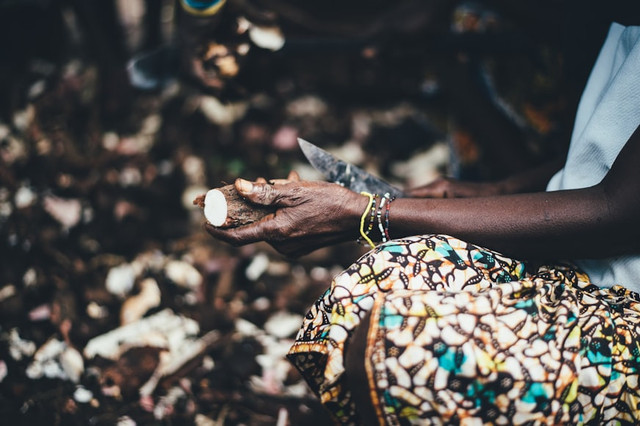 Ilustrasi cara memarut singkong dengan blender, foto: unsplash/Annie Spratt