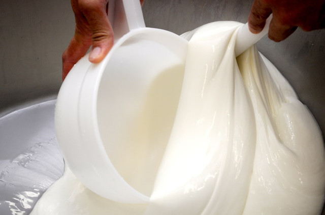 Ilustrasi cara memarut keju mozarella, foto: unsplash/Ivan Pergasi