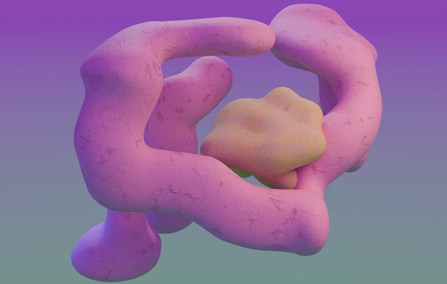 Ilustrasi Materi Biologi Kelas 12 Kurikulum Merdeka   Sumber Unsplash/Steve Johnson