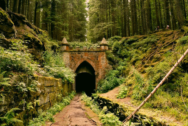 Ilustrasi Film yang Mirip Bridge to Terabithia. Unsplash/Anna Gru