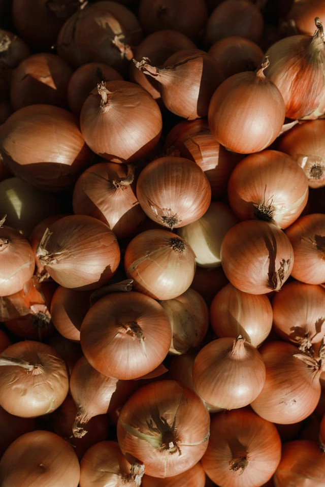 Gambar Bawang Bombai (Allium cepa L.) (Sumber : https://pexels.com)
