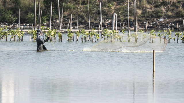 Ilustrasi tambak. Foto: ANTARA FOTO/Aprillio Akbar