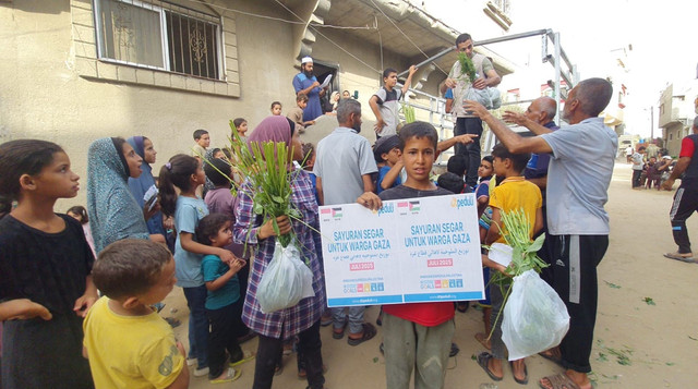 DT Peduli Gulirkan Program Sayuran Segar Untuk Warga Gaza (Sumber : DT Peduli)