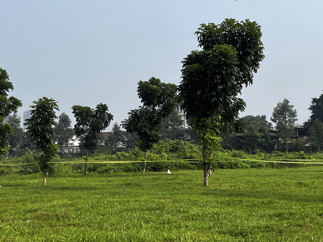 TKP penemuan mayat di Bintaro, Tangerang Selatan, Rabu (16/7/2025). Foto: Rayyan Farhansyah/kumparan