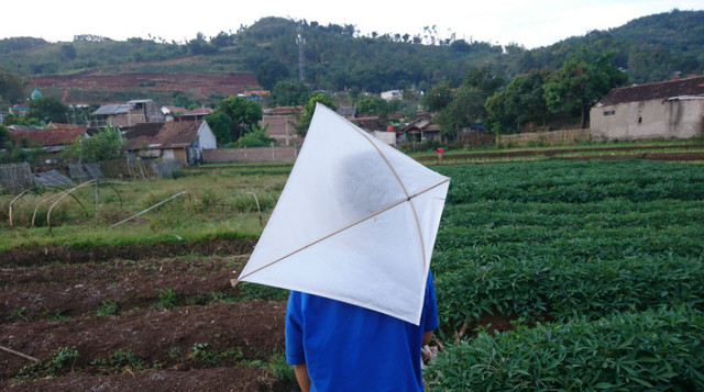 Ilustrasi bermain layangan. Bemain layangan di dekat Bandara Supadio akan dikenakan sanksi tipiring. Foto: Jamal Ramadhan/kumparan