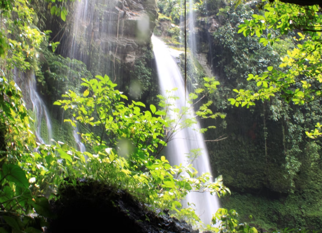 curug leuwi cepet. Foto Hanya Ilustrasi Bukan Tempat Sebenarnya. Sumber Foto: Unsplash/Mufid Majnun