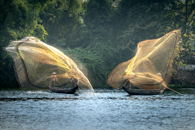 ukuran senar jaring ikan, Pexels/Quang Nguyen Vinh