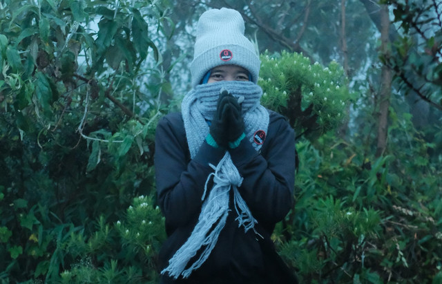 Ilustrasi cuaca dingin. Foto: Dok. Basra