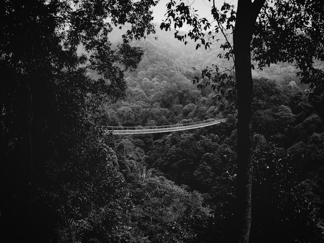 Wisata Jembatan Terpanjang di Sukabumi. Foto Jembatan Terpanjang di Sukabumi. Sumber: Unsplash/Agto Nugroho