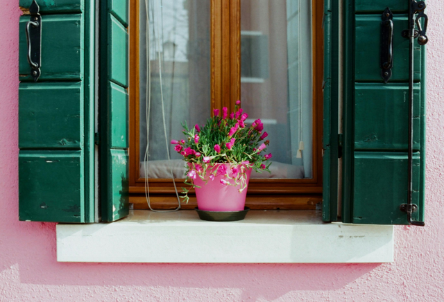 Ilustrasi warna cat kusen jendela dan pintu yang bagus. Foto: Pexels/Olga Lioncat