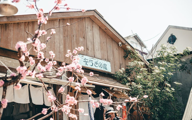 Wisata Surabaya Seperti Jepang. Foto hanya ilustrasi, bukan sebenarnya. Sumber: pexels.com/Huỳnh Đạt