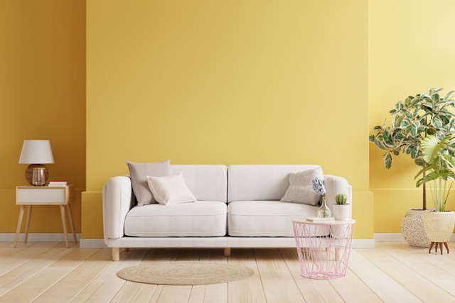 Ilustrasi Tips Memilih Warna Sofa, Foto:Unsplash/Getty Images