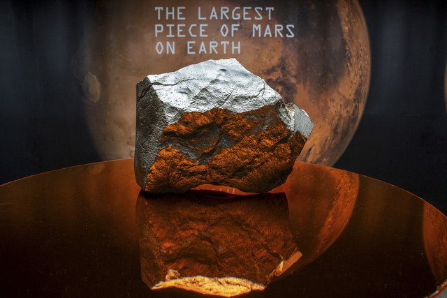 Meteorit NWA 16788, potongan Mars terbesar yang diketahui ada di Bumi, ditampilkan dalam pratinjau pers lelang Sotheby's Natural History di New York City, AS, Selasa (8/7/2025). Foto: Eduardo Munoz/REUTERS