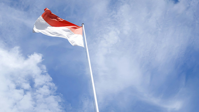 Ilustrasi Apakah Presiden Merupakan Lambang Negara? Unsplash/Mufid Majnun