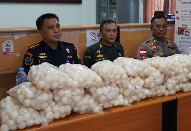 KKP ungkap jaringan penyelundupan telur penyu. Dok: KKP.